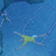 Illustration for article titled It Only Took Me An Hour To Drown My Sims In Their New Pool